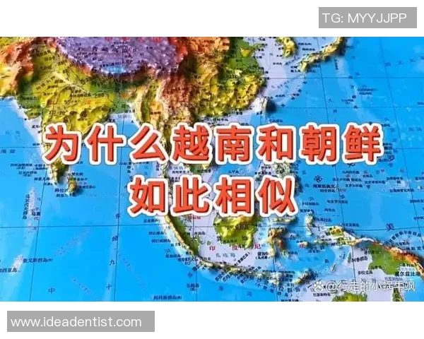 越南与朝鲜军事实力对比分析及其潜在影响探讨