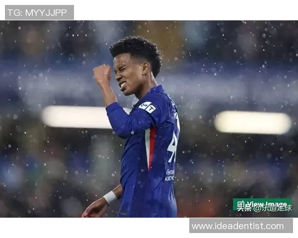 切尔西新赛季引进三大金童进阵，实力大增