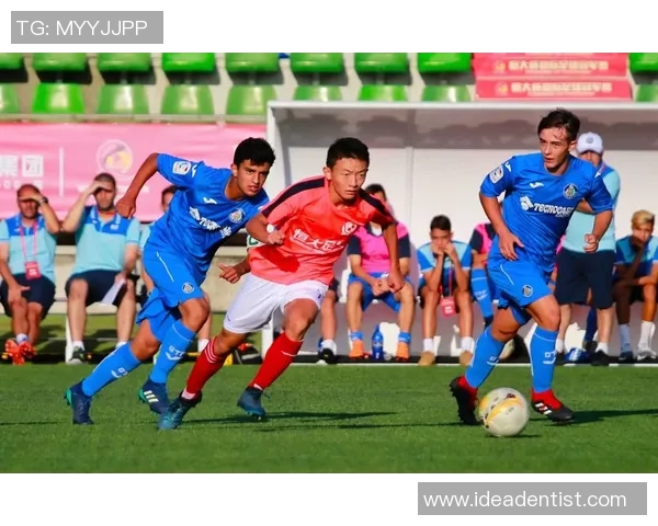 赫尔辛与奥匹亚的激烈对决揭示足球战术与团队合作的完美结合