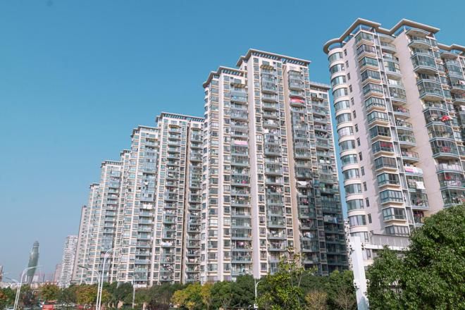 杭州房产新政出台半天他们的电话被打爆都是来问……